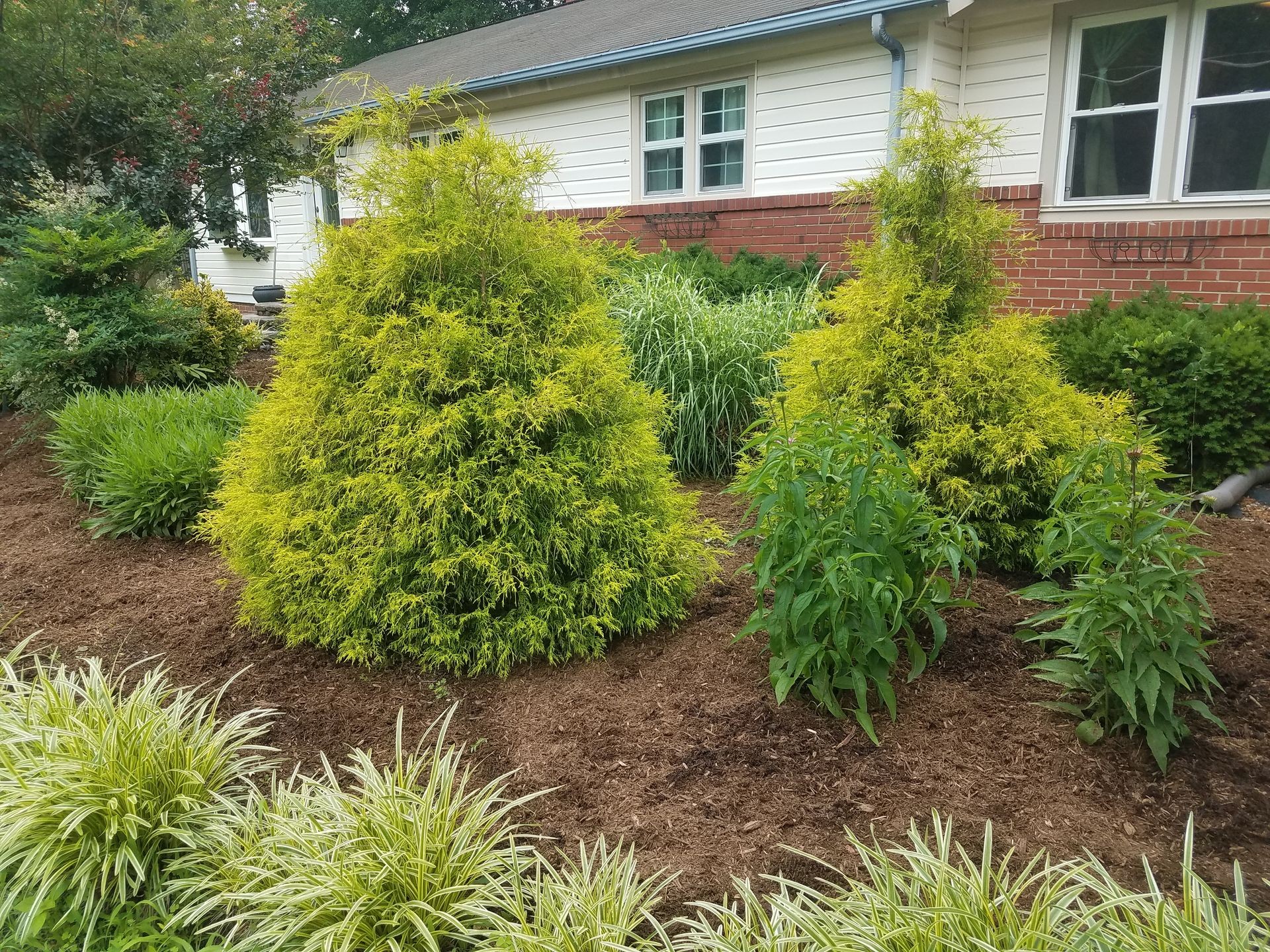 pile of brown mulch and green plants