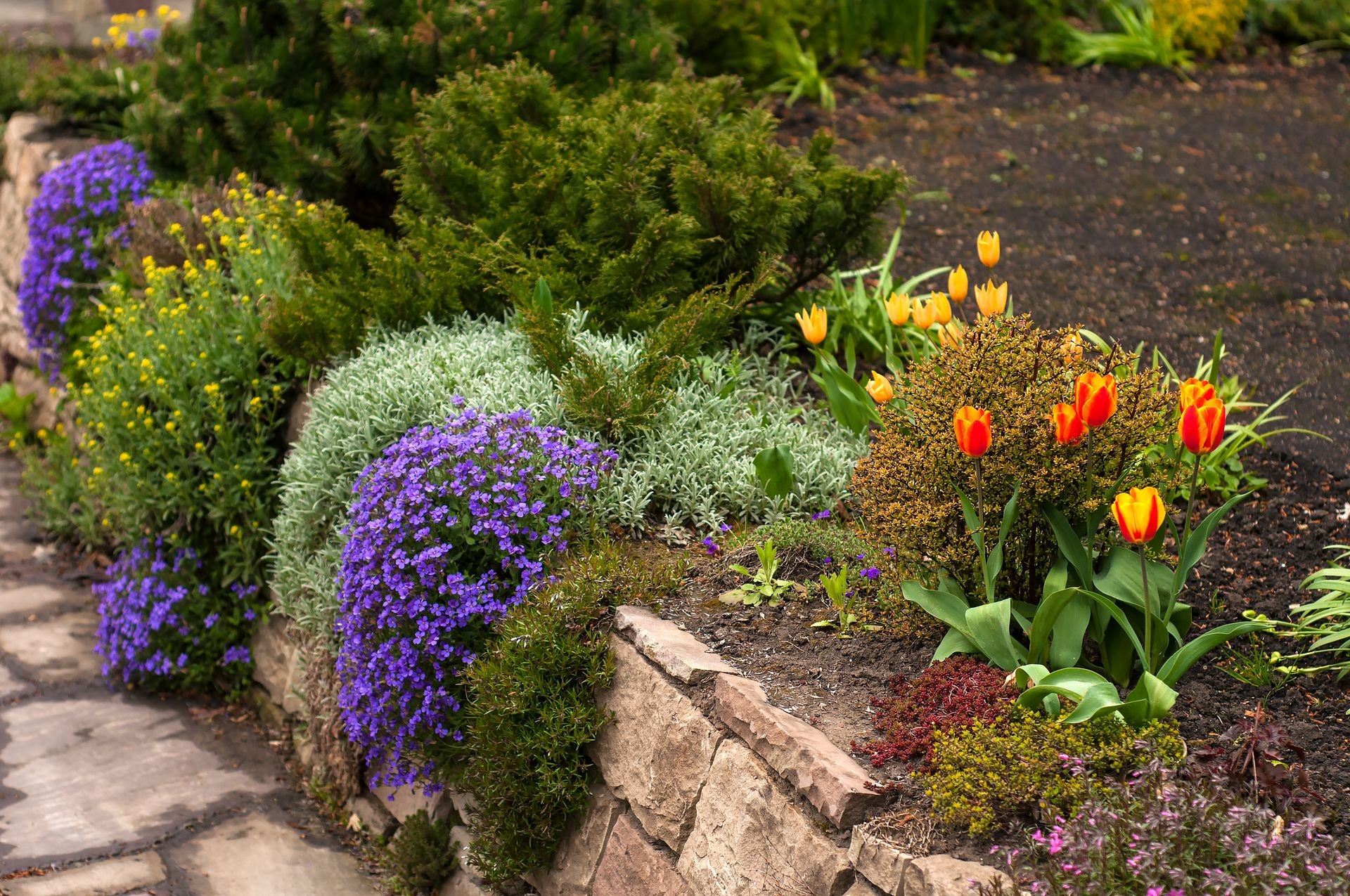 Beautiful landscape design: colourful flowers and a stone. Floral landscape design.