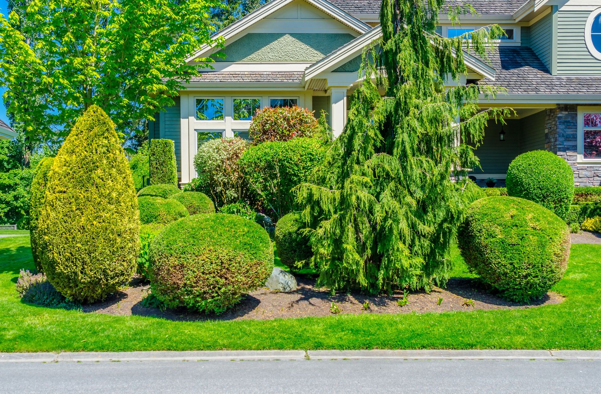 Flowers, nicely trimmed bushes in front of the house, front yard. Landscape design.